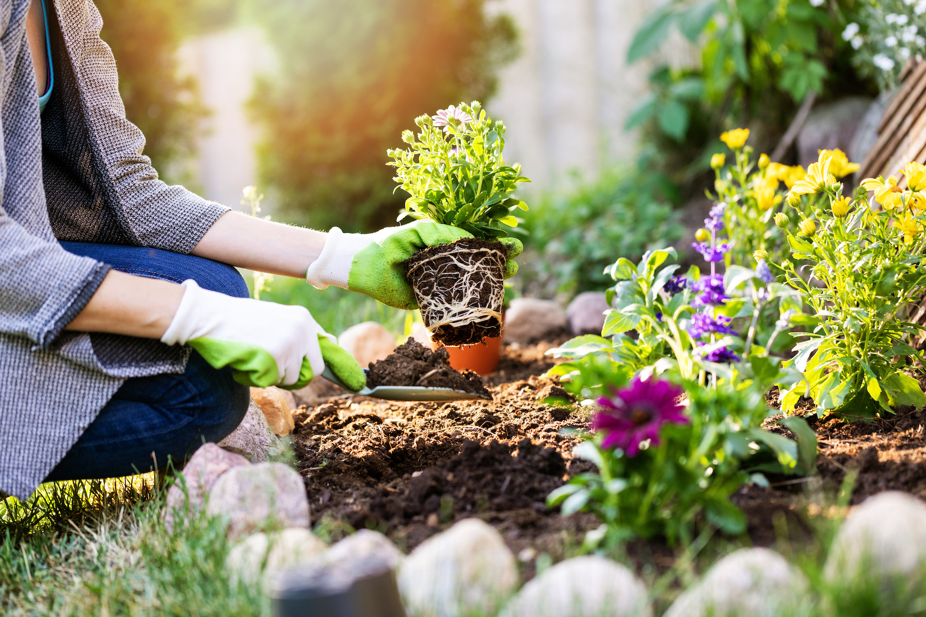 How To Get Soil Ready For Planting In Spring – Mother Earth News